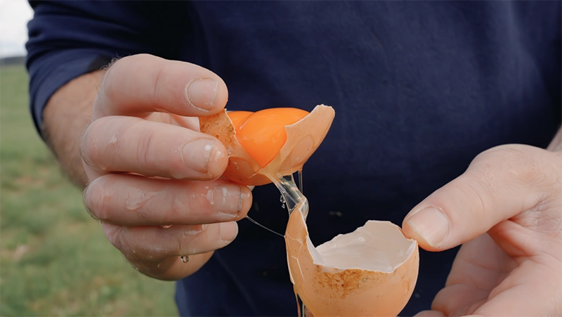 Zwei Hände in jeder Hand eine Hälfte von einem rohen Ei. Auf der linken Seite sieht man das goldgelbe Eidotter in der Eischale