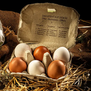 Ein sechser Eierkarton mit braunen und weißen Eiern auf dunklem Holzhintergrund